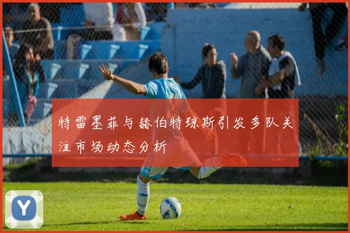 特雷墨菲与赫伯特琼斯引发多队关注市场动态分析
