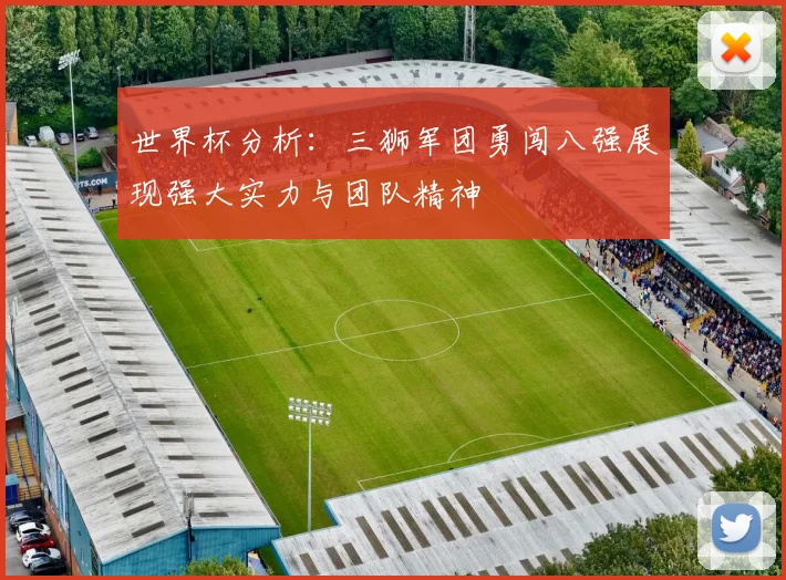 世界杯分析：三狮军团勇闯八强展现强大实力与团队精神